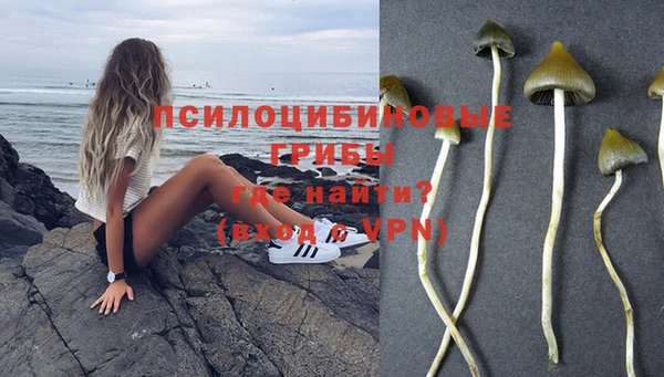 метадон Зеленодольск